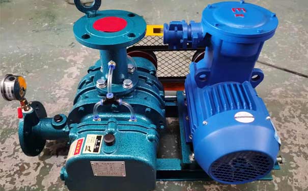 化工行業羅茨鼓風機工廠實拍 化工行業羅茨鼓風機工廠實拍