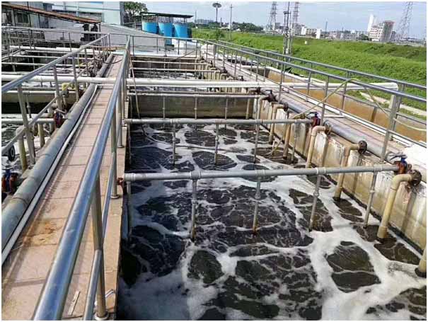 污水曝氣三葉羅茨鼓風機