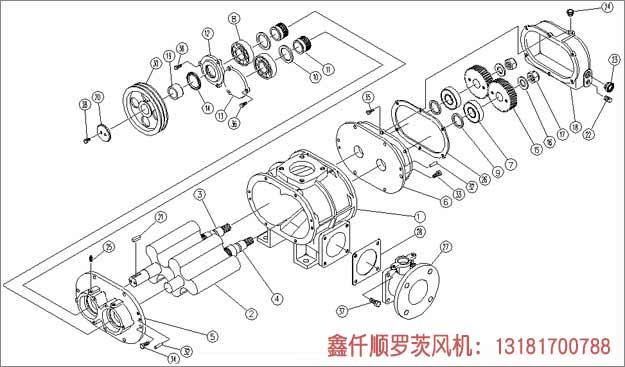 羅茨風機工作組成部件 羅茨風機工作組成部件