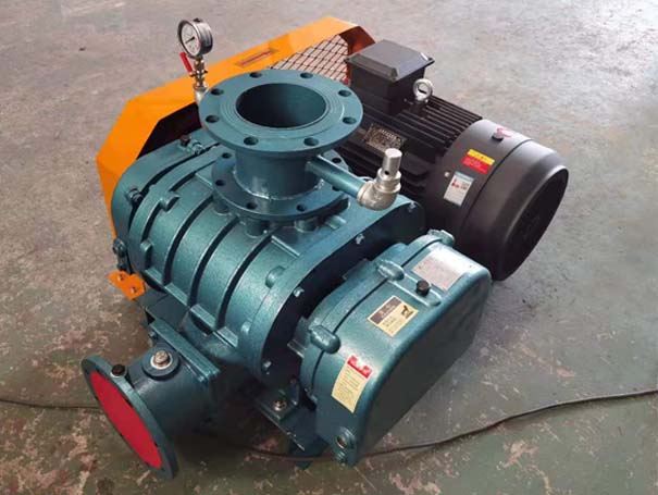 羅茨真空泵 羅茨風機廠家發貨江西羅茨真空泵XQSSR125v5臺(圖1)